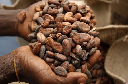 As AU mediation nears, Côte d'Ivoire's future could be in Zuma's hands