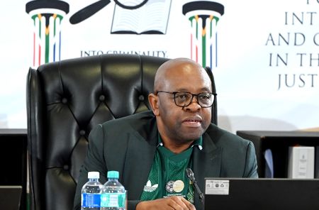 Madlanga Commission goes green and gold for Bafana’s World Cup opener