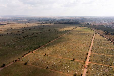 Joburg’s solar cemetery proposal — power over the dead