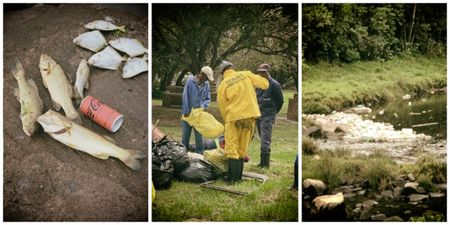 How East London residents won an order compelling municipality to clean up popular picnic site
