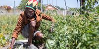 Ntimi Ayuba Godfrey manages a flourishing fruit and vegetable garden on the old circus property. (Photo: Ashraf Hendricks)