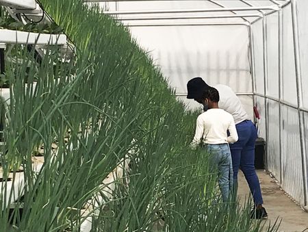 Small growers reach out to consumers to close a big gap