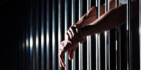 Daily roll call of arrests, NPA prosecutions and convictions – 31 January