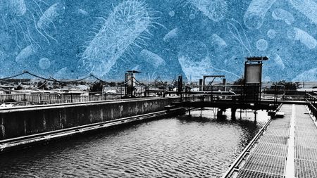 Bronkhorstspruit gastro outbreak: A failure to keep people safe