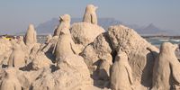 Here today, gone tomorrow. African Penguin sand sculptures built by SANCCOB & BirdLife SA to highlight the plight of these beautiful birds. Photographer: Daniel Roodt