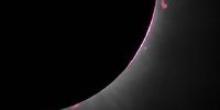 In this NASA handout, prominences from the sun are shown during a total solar eclipse that swept across a narrow portion of the North American April 8, 2024 as seen from Dallas, Texas. The eclipse could be seen from Mexico's Pacific coast to the Atlantic coast of Newfoundland, Canada. A partial solar eclipse was visible across the entire North American continent along with parts of Central America and Europe.  (Photo by Keegan Barber/NASA via Getty Images)