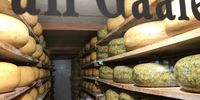 Another window looks into a cool room stacked with today’s real cheeses. (Photo: Marie-Lais Emond)