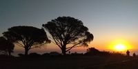 African Sunset - Camps Bay.