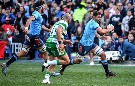 Bulls URC progress would be a blessing and a challenge for Springboks