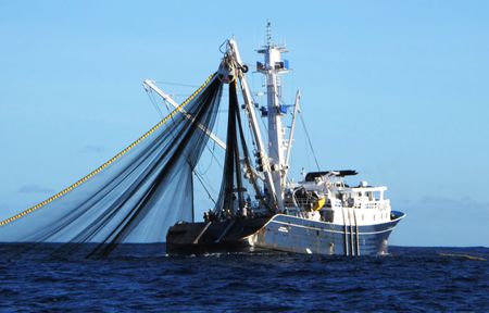 UK seeks to extend ban on bottom trawling fishing in English seas