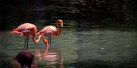 Photo Essay-InPictures26