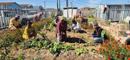 How community gardens are reducing foodstuff waste and increasing food security in SA