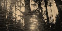 Sony-Shortlists Announced