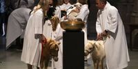 Handlers gather with animals for a procession during services celebrating the Feast of St. Francis, in tribute to Saint Francis, the church’s patron saint of animals and the environment, at Cathedral of St. John the Divine in New York, New York, USA, 01 October 2023.  EPA-EFE/JUSTIN LANE