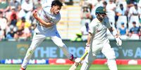 Proteas toil