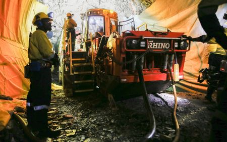 Gold Fields’ South Deep no longer a white elephant, thanks to a Rhino