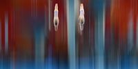 Diving - 20th Asian Games Aichi-Nagoya: Day 8