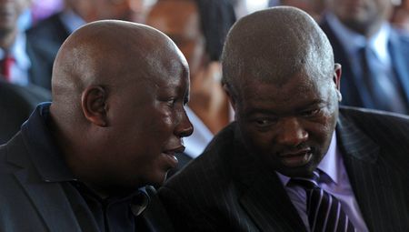 Julius Malema & Bantu Holomisa: little foxes out to spoil the ANC vineyard?