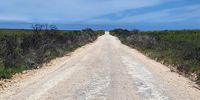 The road to Puntjie. Photographer: Kathleen du Bois