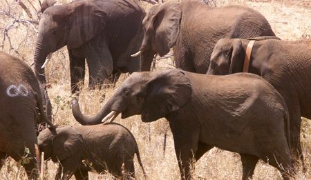 Right of response: Department of Environmental Affairs is not shirking its responsibilities