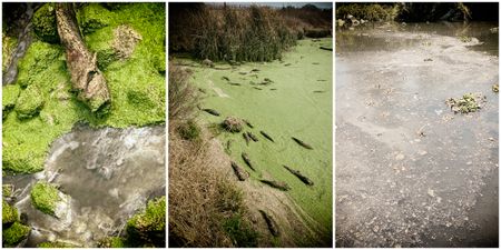 Declare South Africa's wastewater treatment a national disaster, urges SAHRC