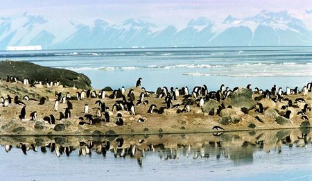 Earth's climate: 'Abrupt change is already underway'