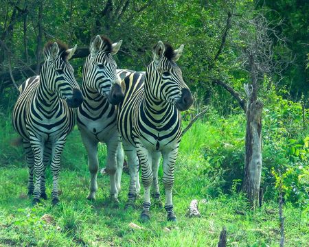 I have a picture for you! 03 January-10 January 2026