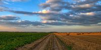 Iman_regenerative agriculture 