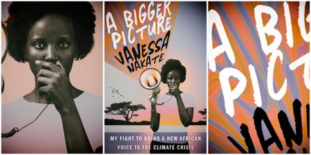 Africa’s role in the global push for a green recovery