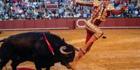 epa09923214 Spanish bullfighter Tomas Rulfo reacts during a bullfight at the Feria de Abril bullfight festivities at Real Maestranza Bullring in Sevilla, Spain, 02 May 2022.  EPA-EFE/JULIO MUNOZ