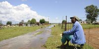 Gert Phepheng(81) watching his flok grazing on the flooded path next to his neighbours house in Ntoanahatshe village, Taung in the North West.Photo:Tiro Ramatlhatse