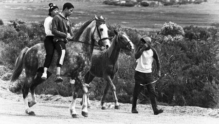 Mamre – a village in love with horses