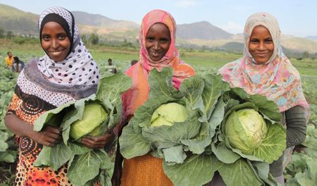 Africa takes center stage as UN summit highlights urgency of global food transformation