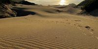 Early morning walks Karoega. Photographer: Danielle Hervey</p>
<p>P4U_readersubmission_20250328