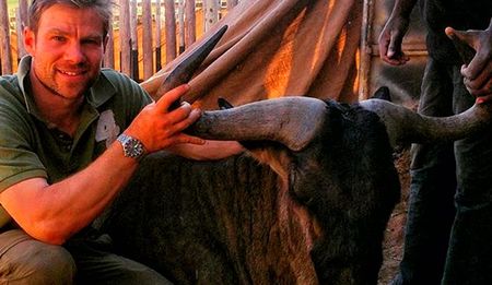 Health-E: The Vet and the Wildebeest