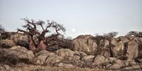 Moonrise on Kubu Island. Photographer: Rob Weiss