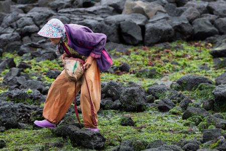 The health benefits of seaweed – a bath full of bladderwrack might be just what the doctor ordered