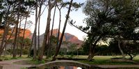 Sunrise in Keurboom Park, Rondebosch.