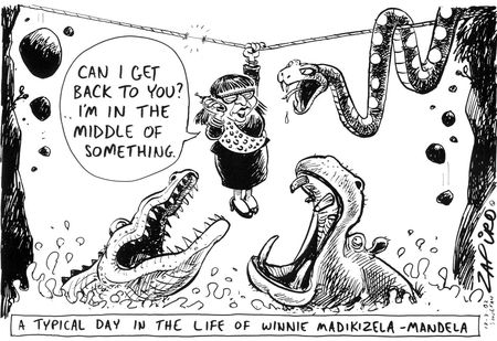 A typical day in life of Winnie