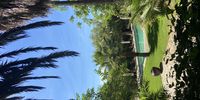 The garden at Couvaloup is an oasis of lushness with its waving palms and flowering shrubs. (Photo: Laurent Bayard)