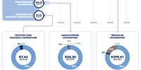 Table showing how government departments dealt with past findings of unauthorised, irregular and wasteful expenditure. (Source: Consolidated PFMA General Report 2020-21)