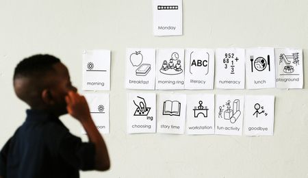 Still no national plan to address SA’s reading crisis as percentage of children who can read for meaning declines