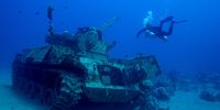 A diver swims next to a submerged military vehicle at the Underwater Military Museum in Aqaba, Jordan, May 7, 2024. REUTERS/Stelios Misinas     TPX IMAGES OF THE DAY