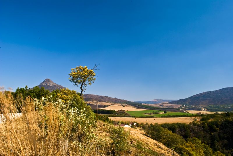 Day trip: To greener pastures - a trip to the Midlands