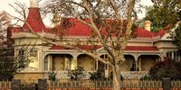 Oudtshoorn-feather-boom 