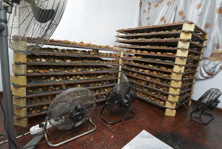 Africa’s coastal regions and economies sinking beneath a sea of maritime sector corruption