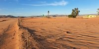 The Grasvlakte — the “grassy plains” — between Steinkopf, Port Nolloth and Eksteenfontein, has become a focal point for study. This sometimes abundant grazing area is swallowing one farmhouse and surrounding buildings. Some say the dune is the result of the recent drought. Other farmers say it’s caused by poor land management. Researchers now want to see if the damage is reversible. (Photo: Leonie Joubert)