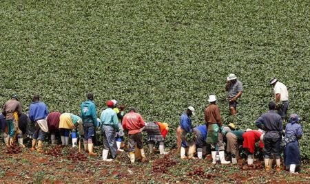 Why Africa must industrialise