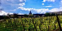 Castle Vollrads - Rheingau/ Germany</p>
<p>CREDIT: Beate Kleim