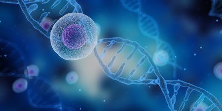 As Africa embraces genomics in the post-Covid era, quality assurance is critical